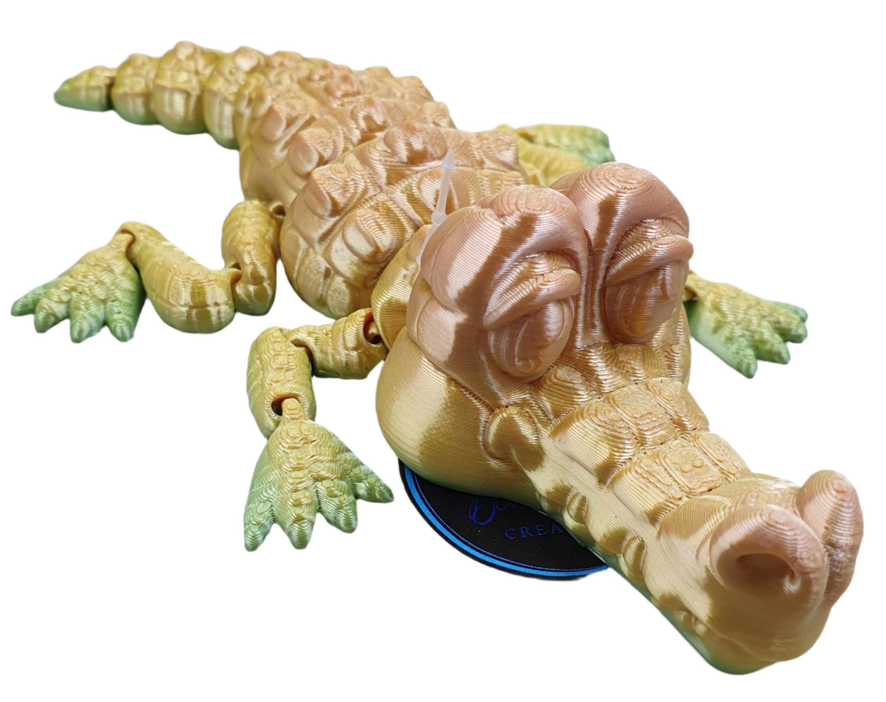 Cute Crocodiles