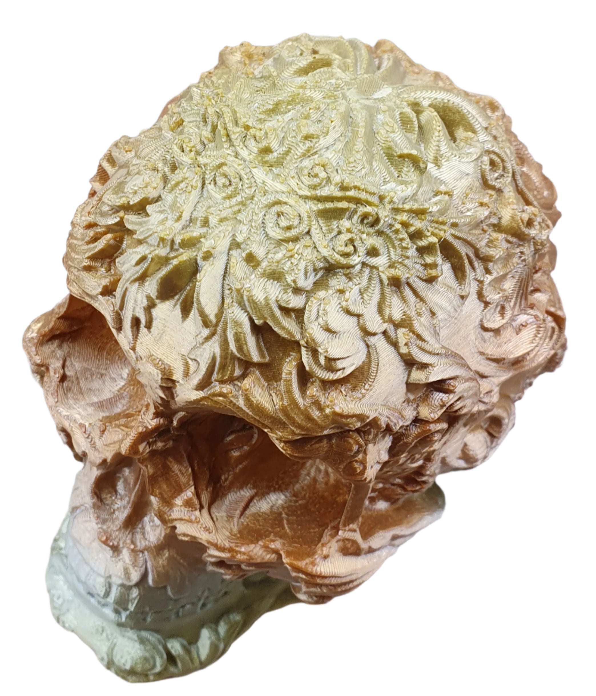 Skull - Extra Large