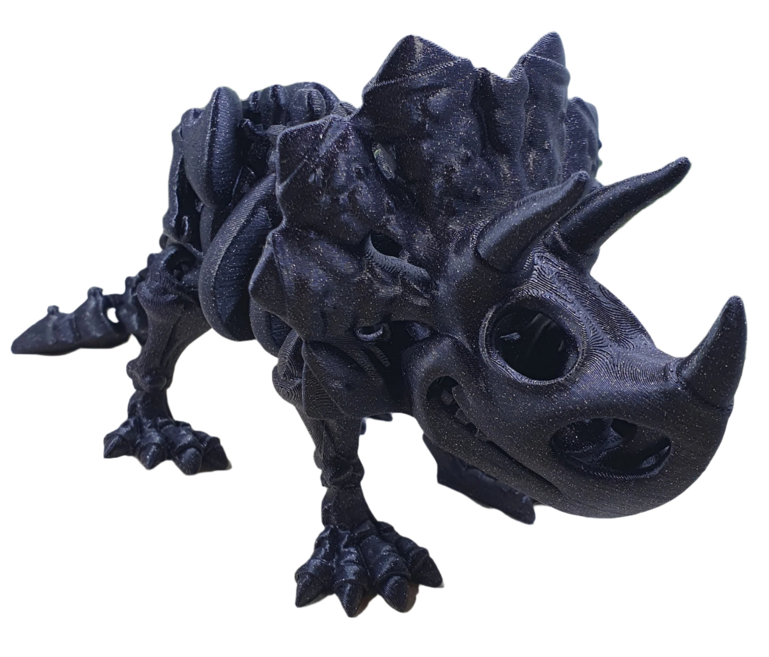 Triceratops Skeleton
