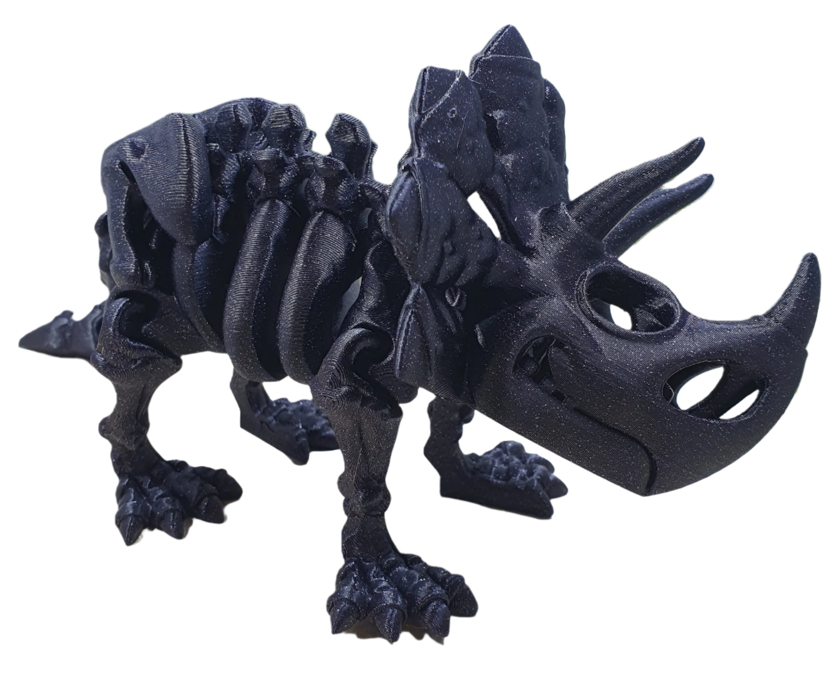 Triceratops Skeleton