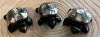 Turtle with Multi-coloured Shell - Black Obsidian #4