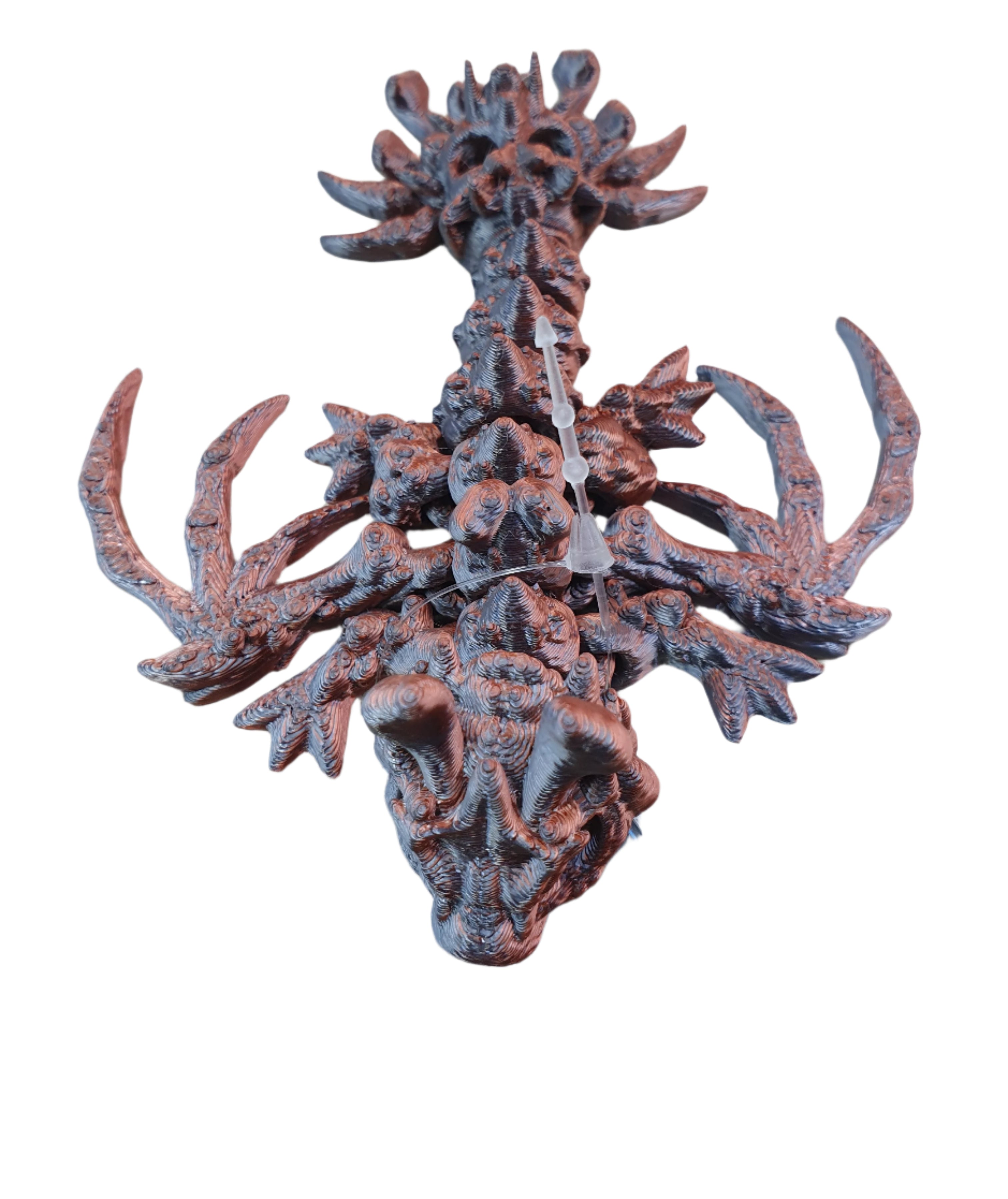 Baby Hollow Dragons