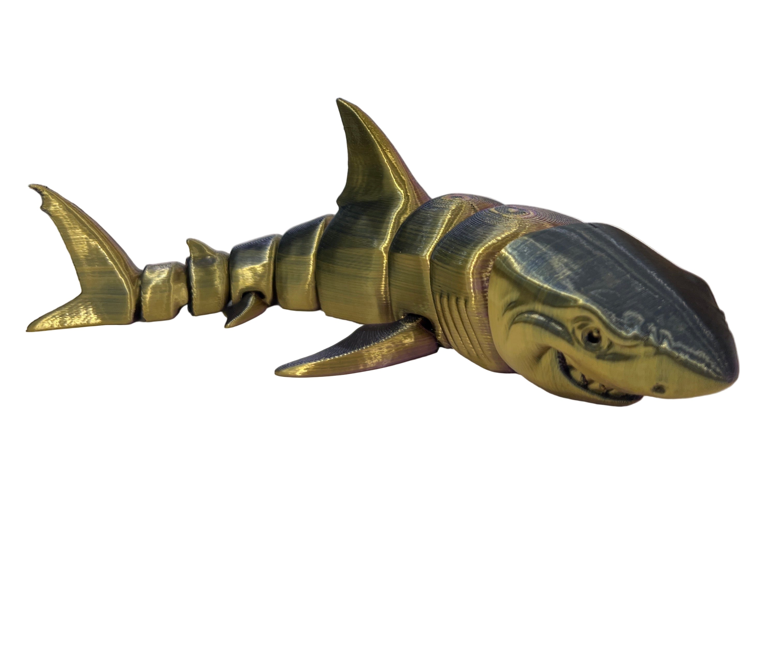 Great White Sharks - Large