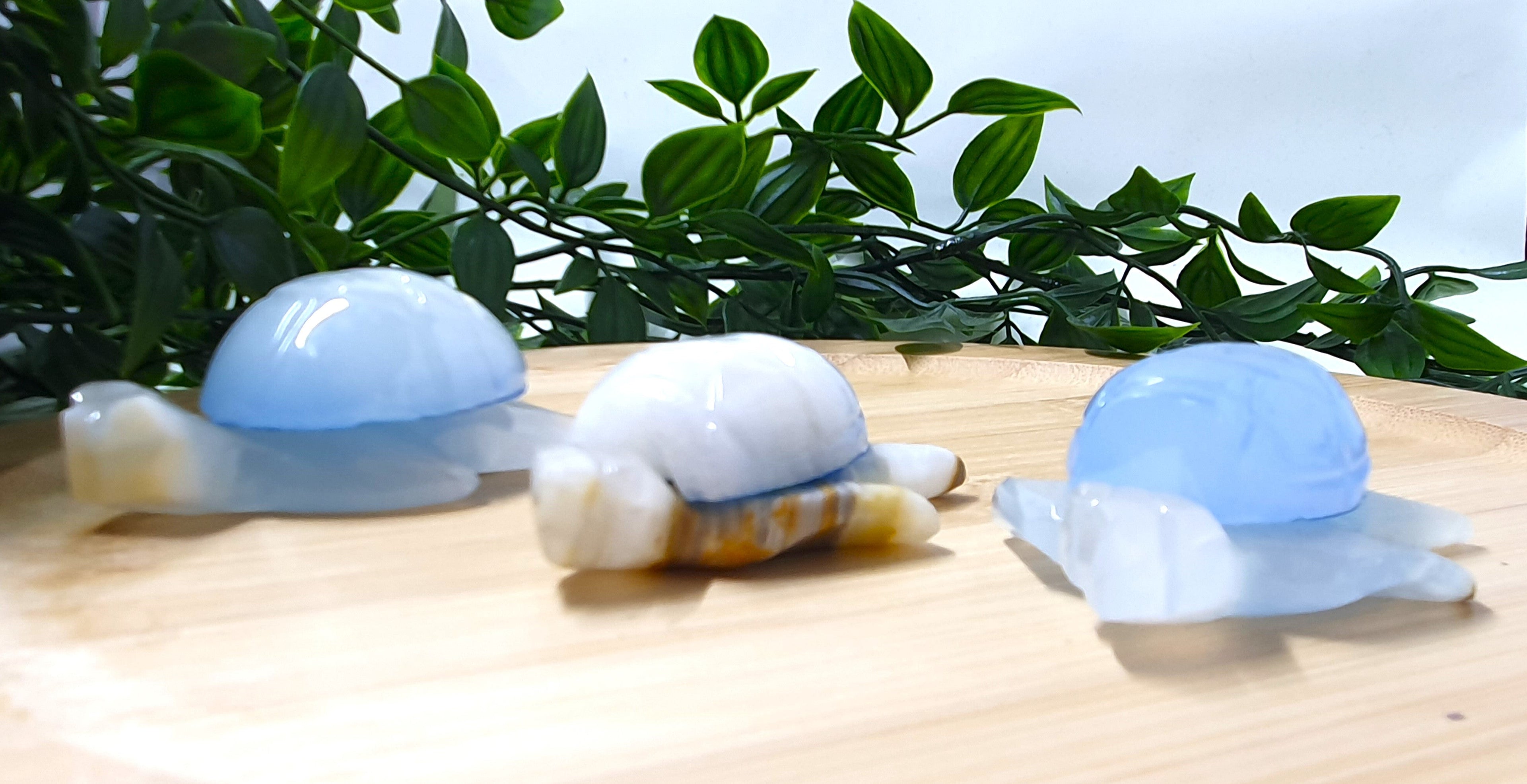 Blue Onyx Turtle Carvings