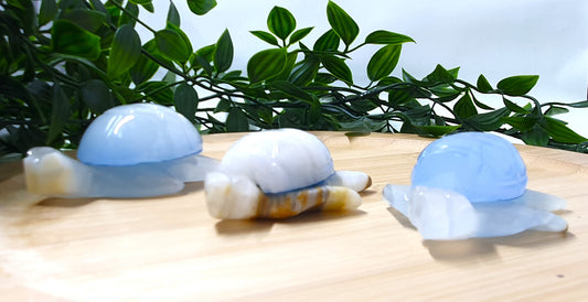 Blue Onyx Turtle Carvings