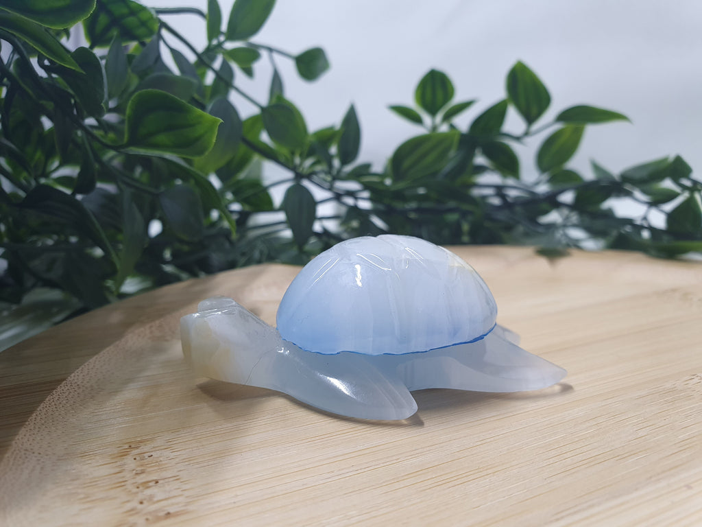 Blue Onyx Turtle Carvings