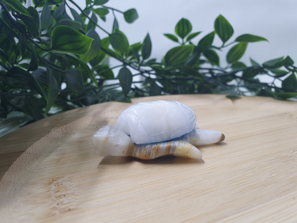 Blue Onyx Turtle Carvings