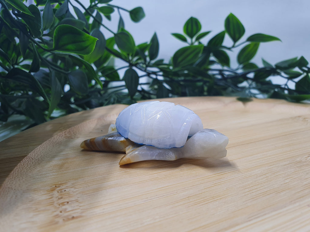 Blue Onyx Turtle Carvings