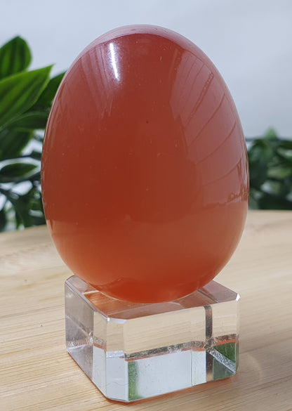 Cats Eye Eggs