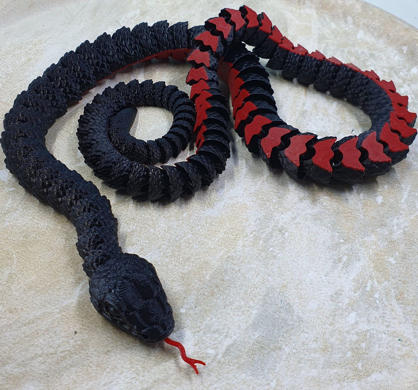 Red Belly Black Snake #1