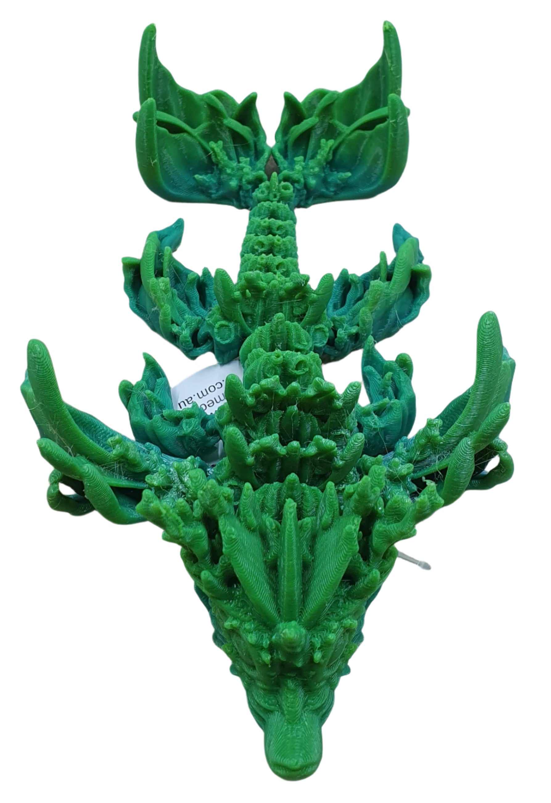 Baby Coral Reef Dragon