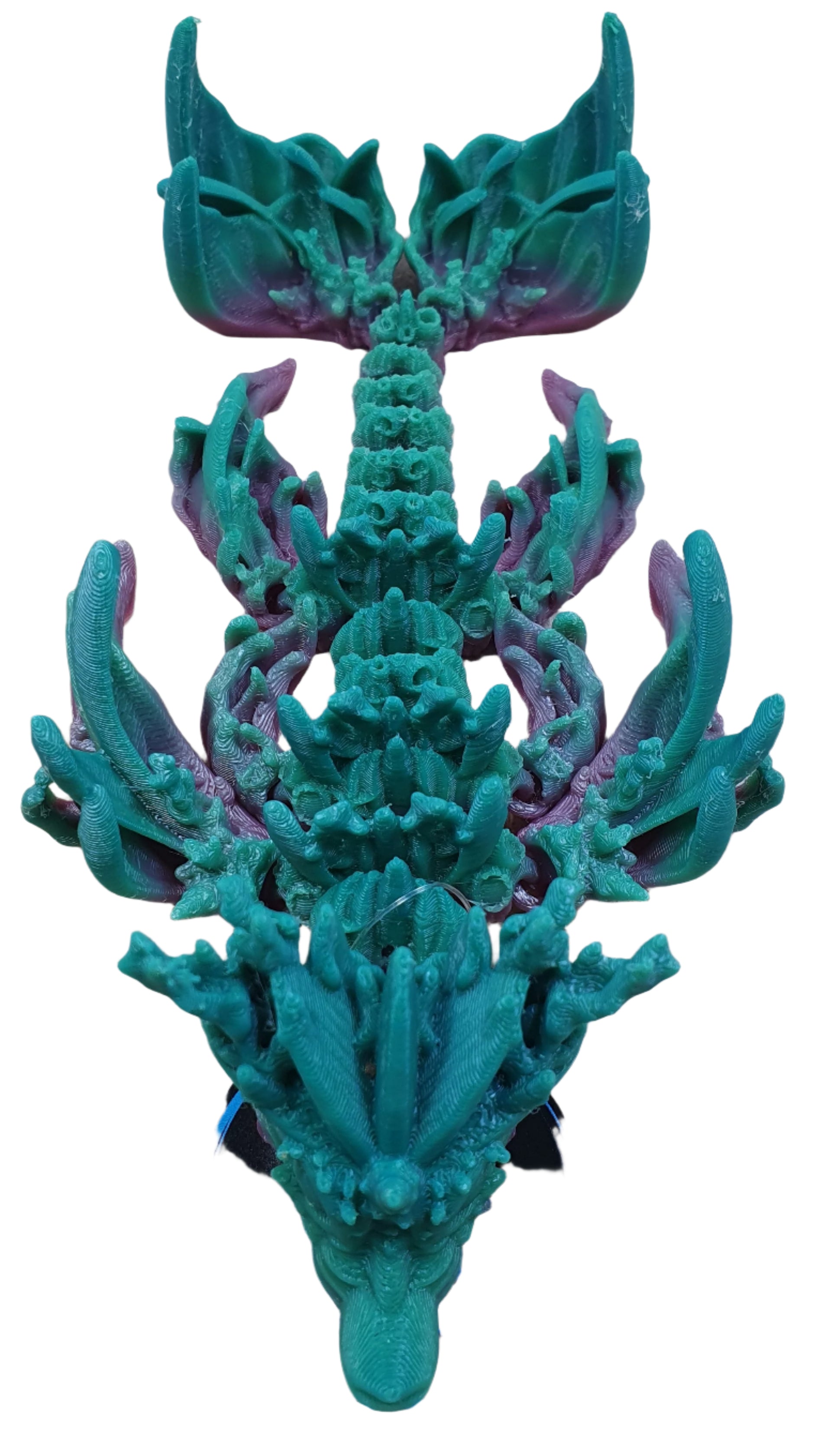 Baby Coral Reef Dragon