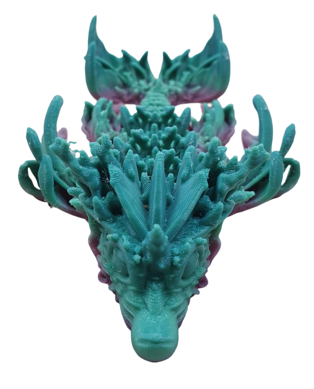 Baby Coral Reef Dragon