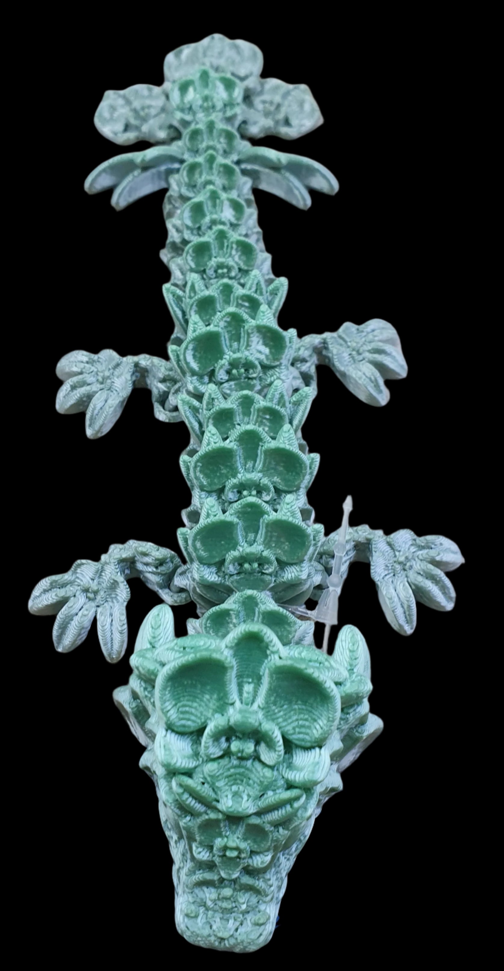 Baby Orchid Dragon