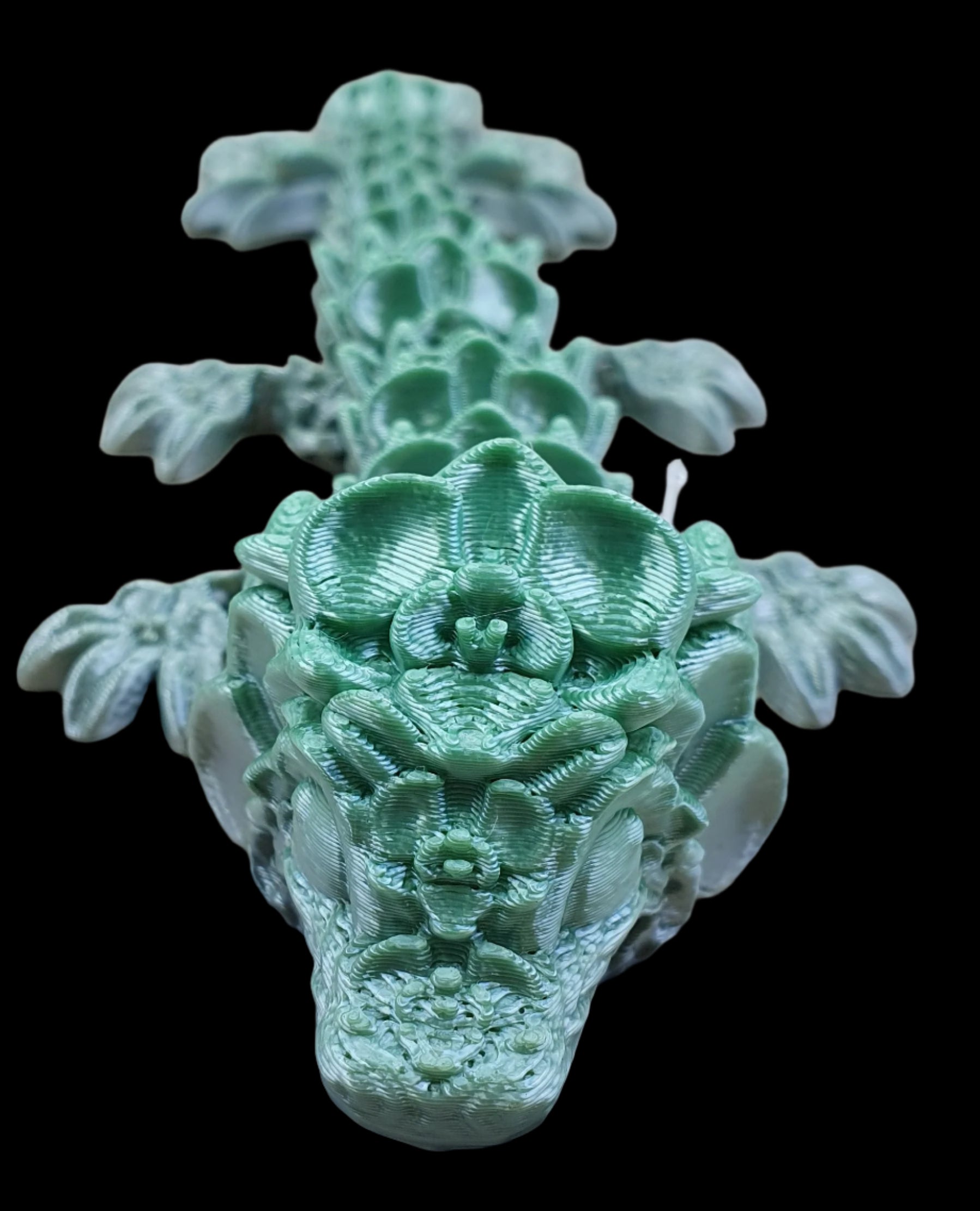 Baby Orchid Dragon