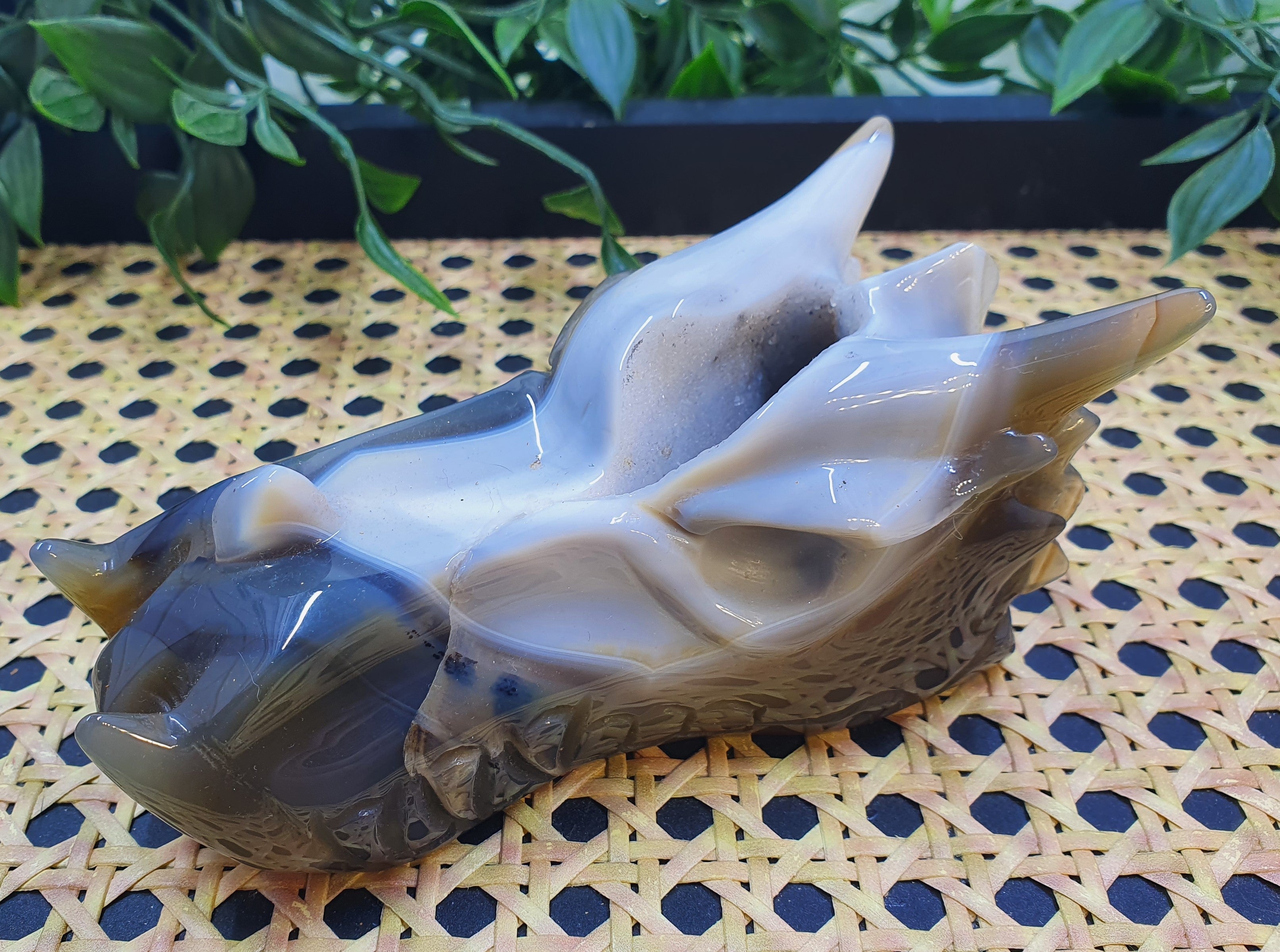 Druzy Agate Dragons Head #1