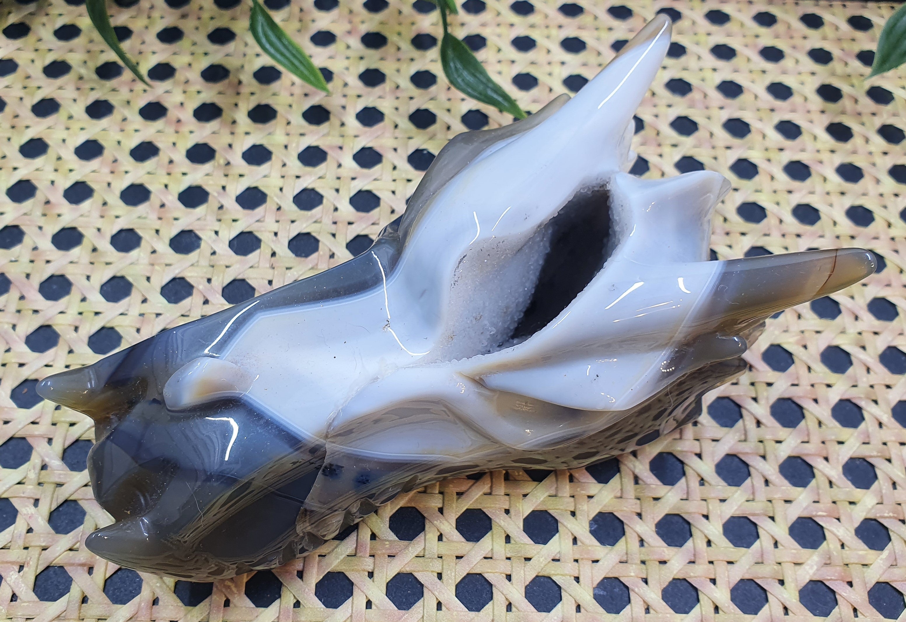 Druzy Agate Dragons Head #1