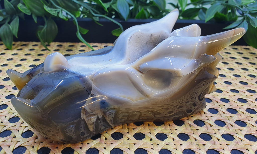 Druzy Agate Dragons Head #1