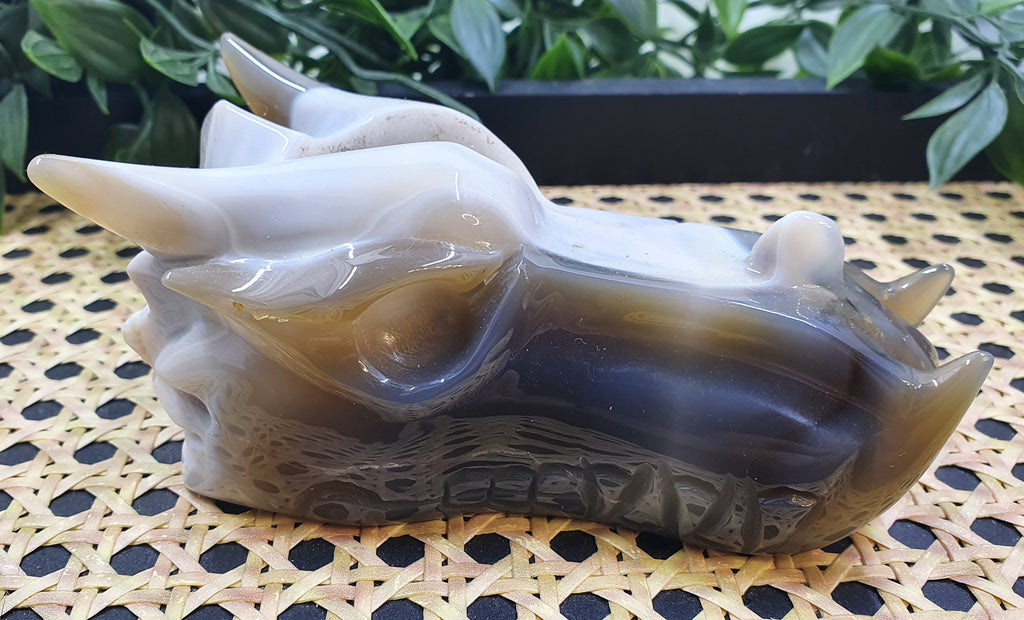 Druzy Agate Dragons Head #1