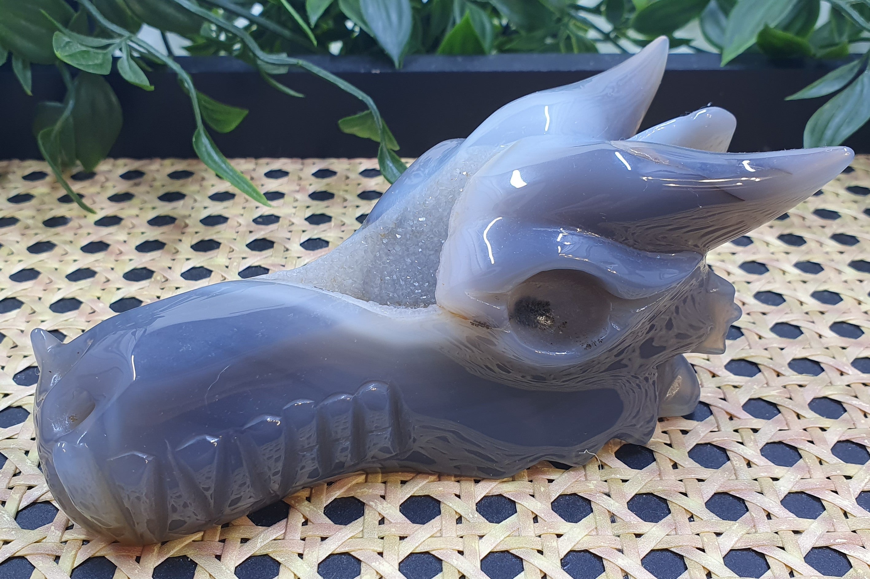 Druzy Agate Dragons Head #2