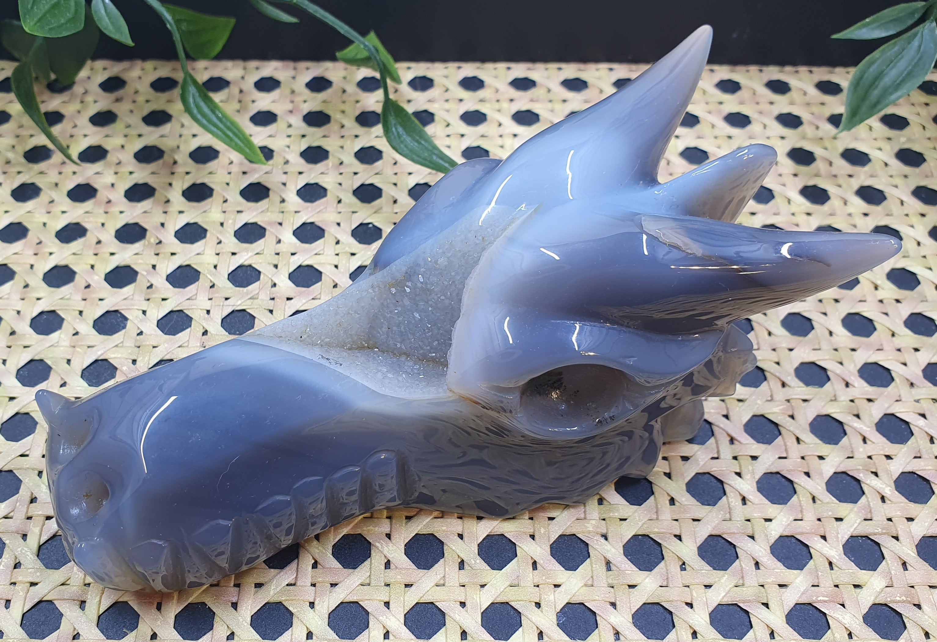 Druzy Agate Dragons Head #2