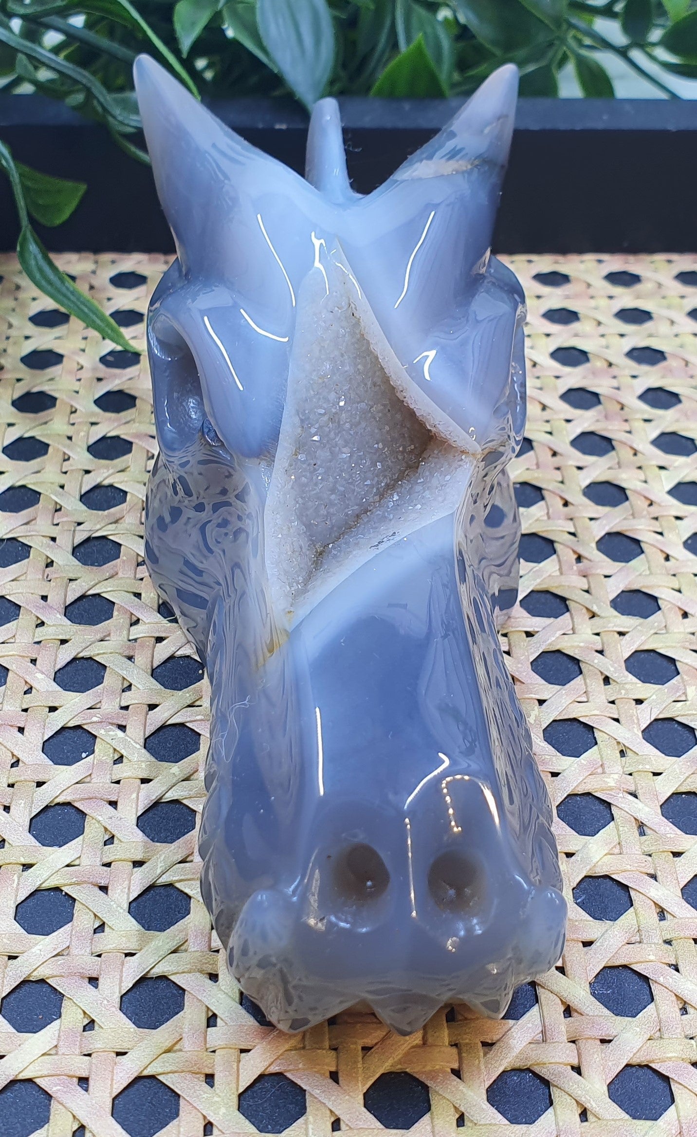 Druzy Agate Dragons Head #2
