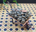 Pyrite Wheelbarrows