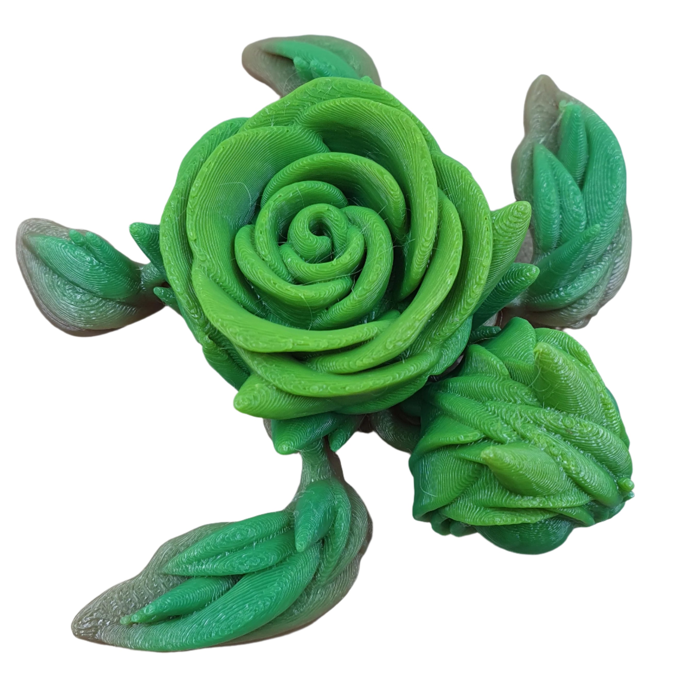 Rose Turtles