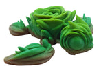 Rose Turtles