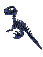 Raptor Skeleton