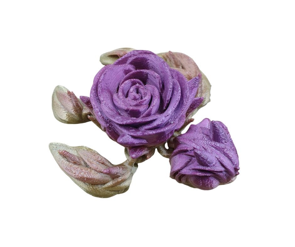 Rose Turtles