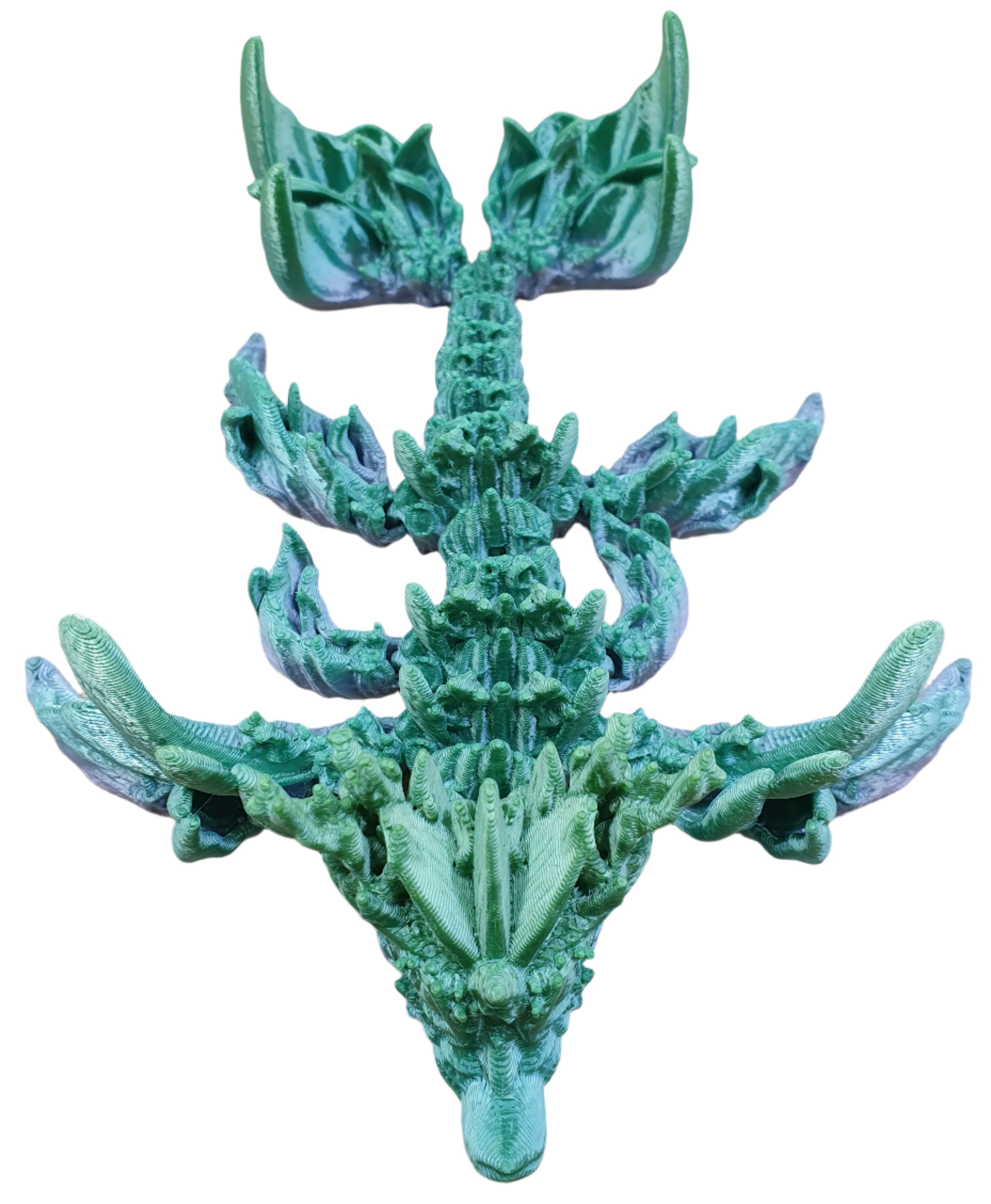 Baby Coral Reef Dragon
