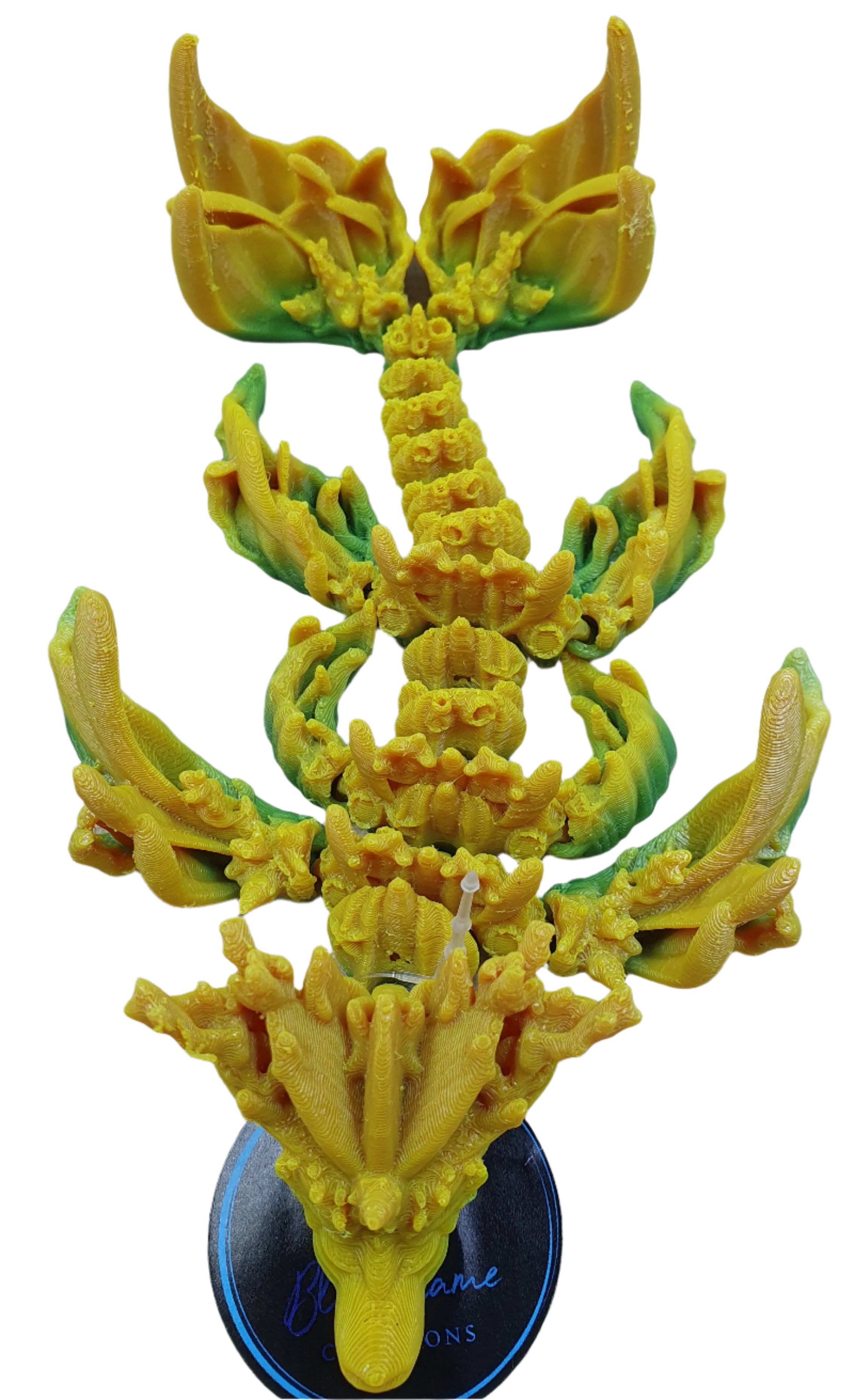 Baby Coral Reef Dragon