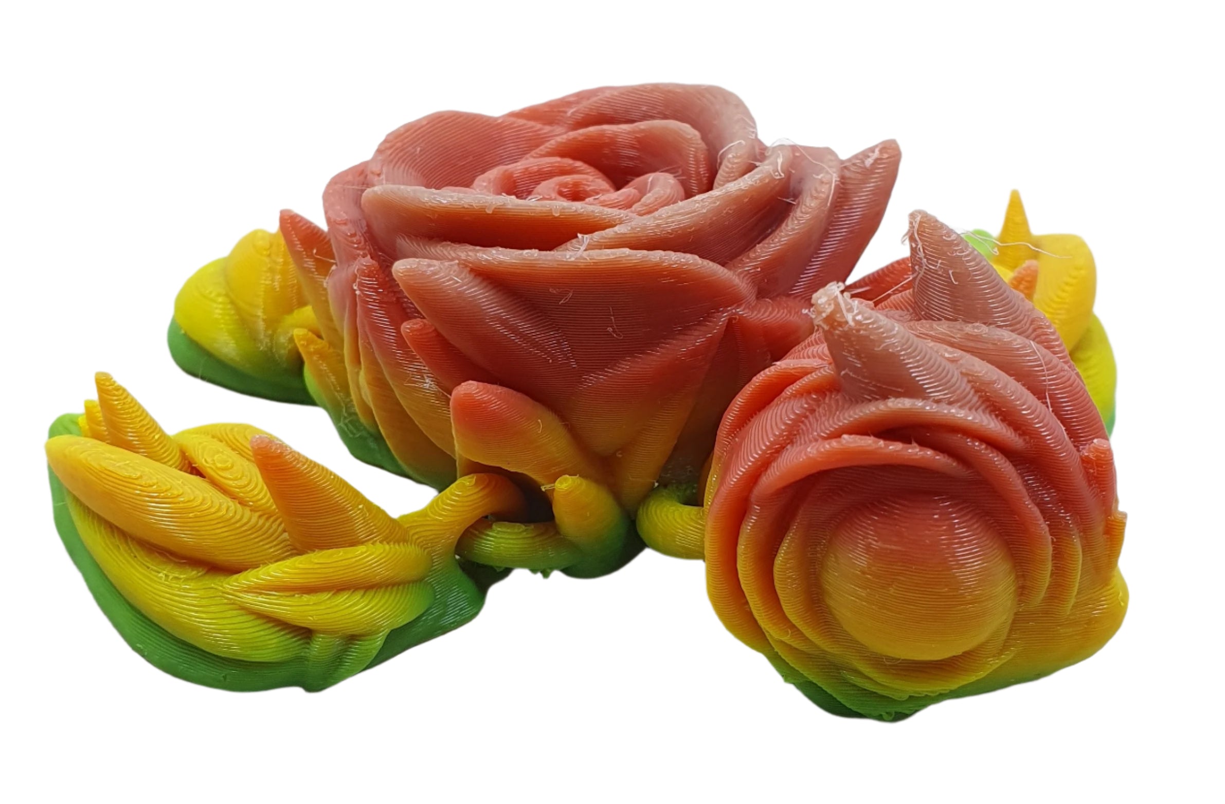 Rose Turtles