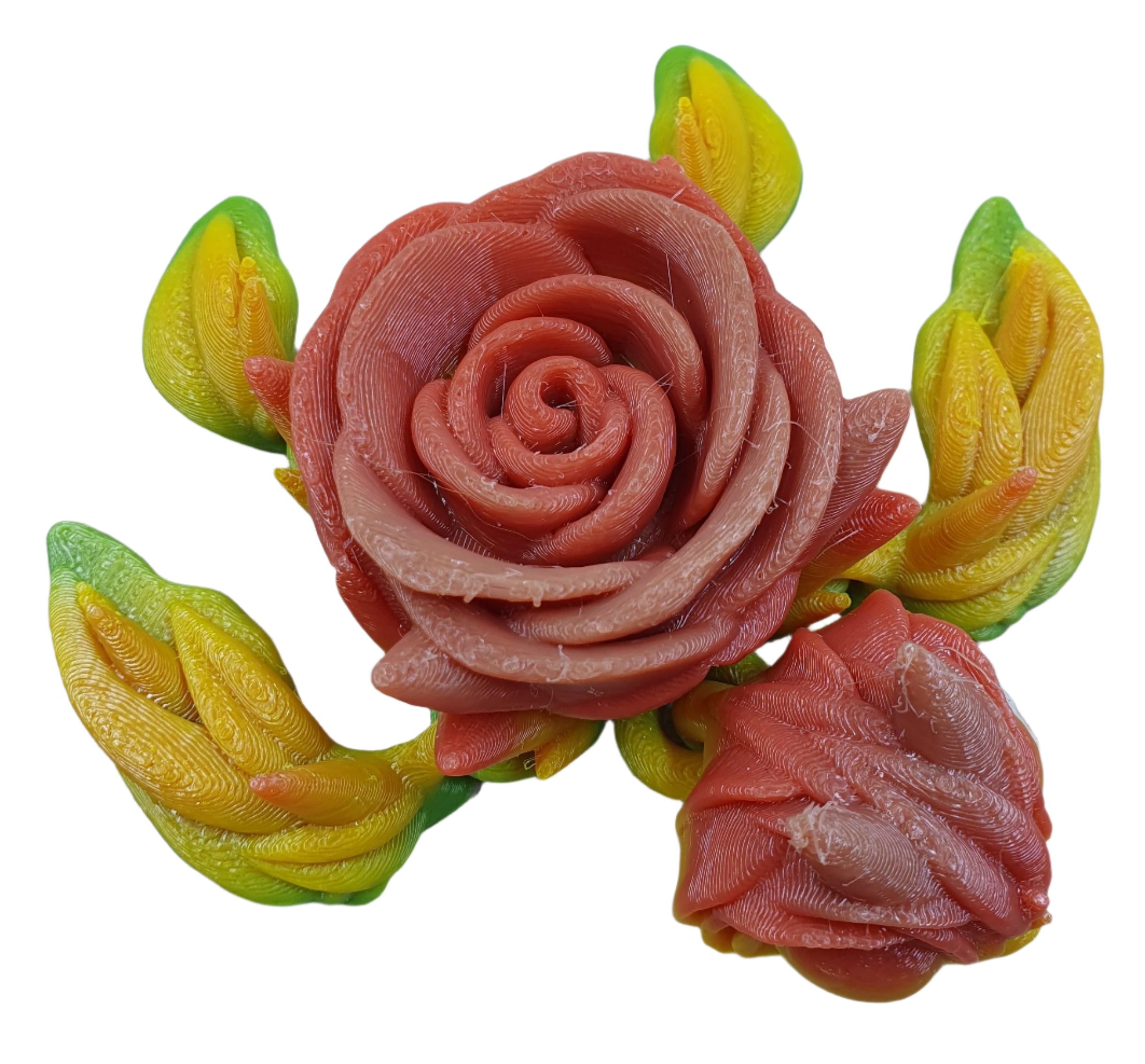 Rose Turtles