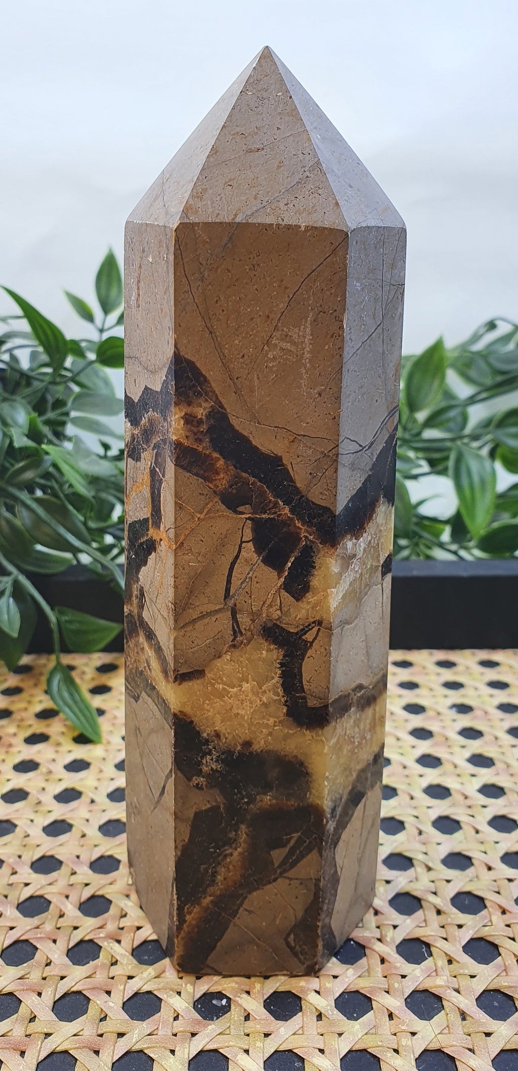 Septarian Tower #2