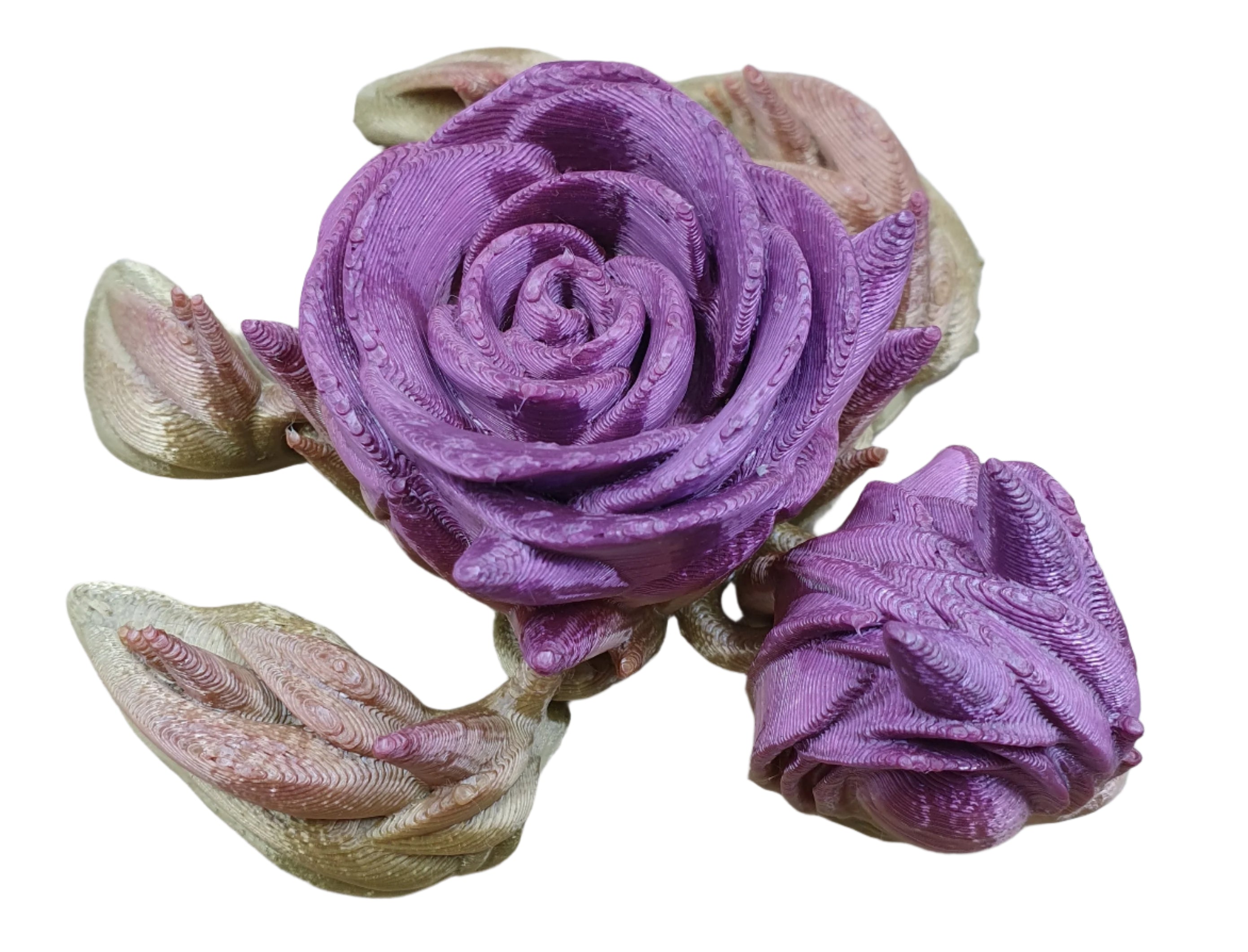 Rose Turtles