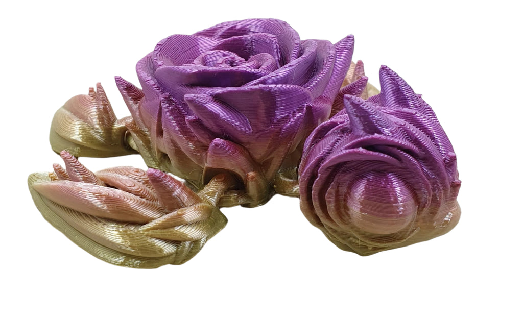 Rose Turtles