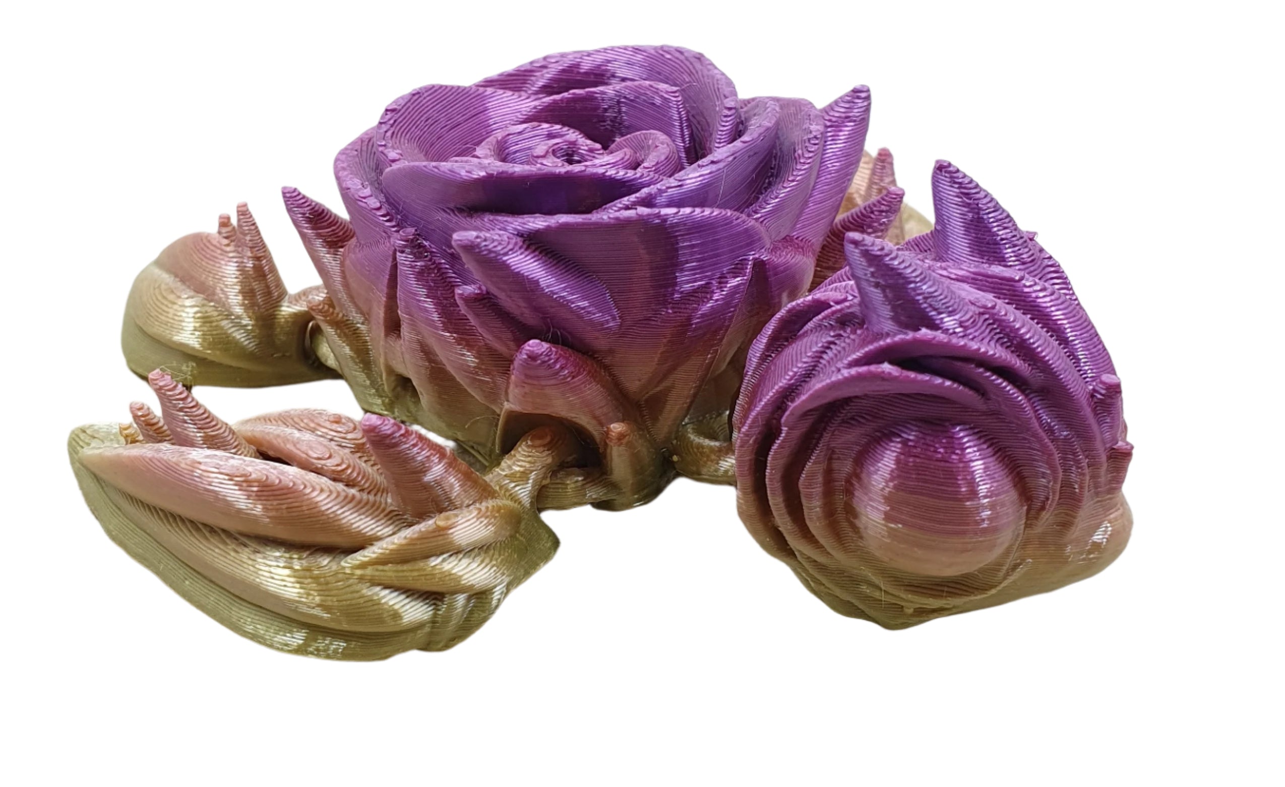 Rose Turtles