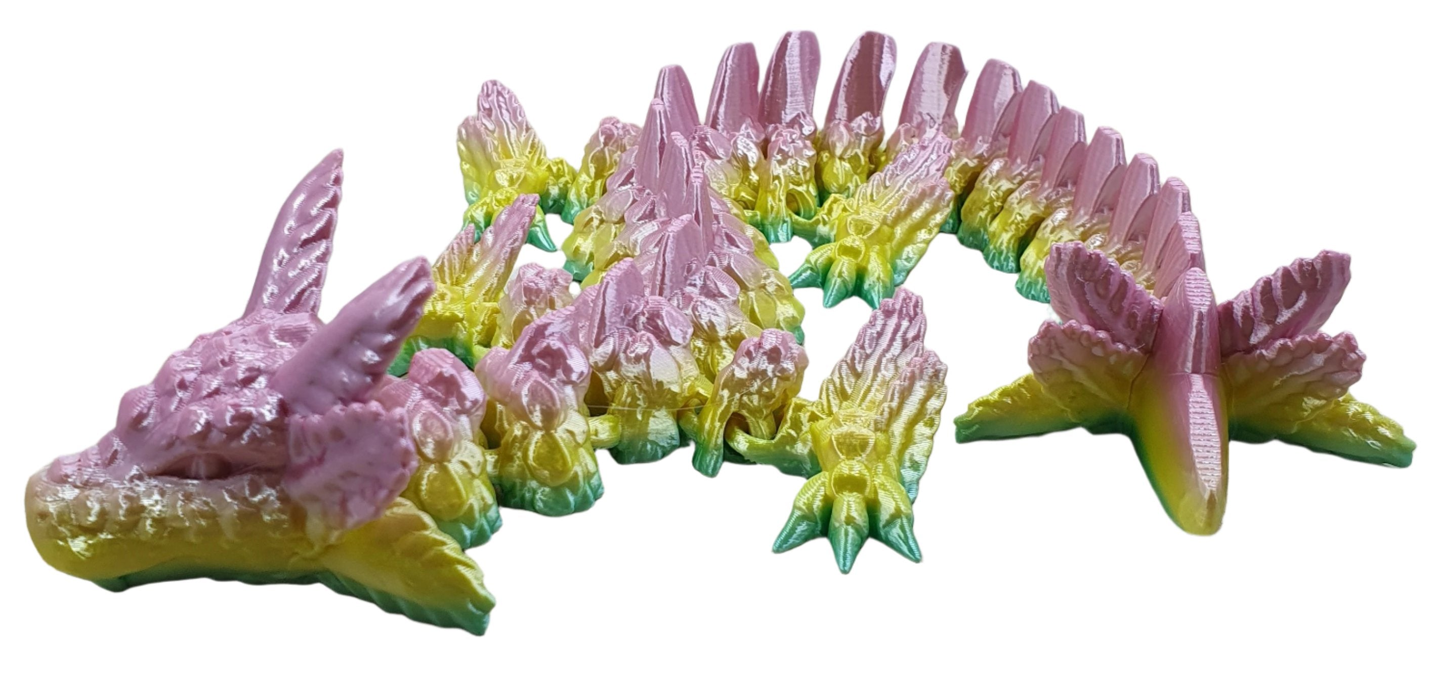 Axolotl Dragons