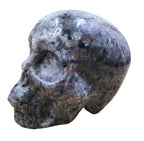 Yooperlite Skull