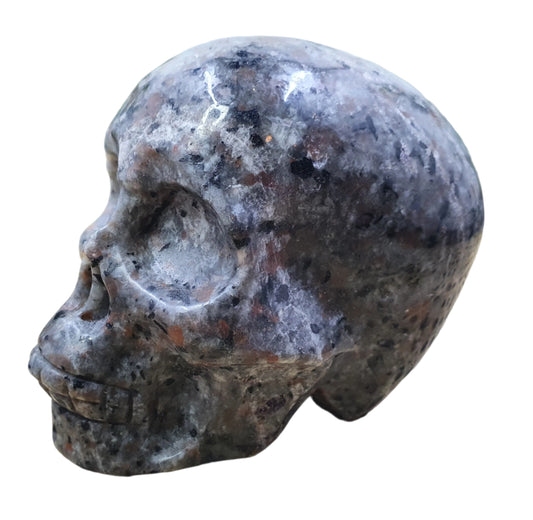 Yooperlite Skull