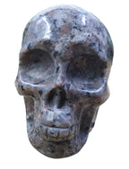 Yooperlite Skull