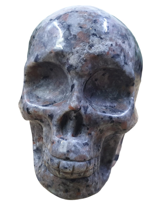 Yooperlite Skull