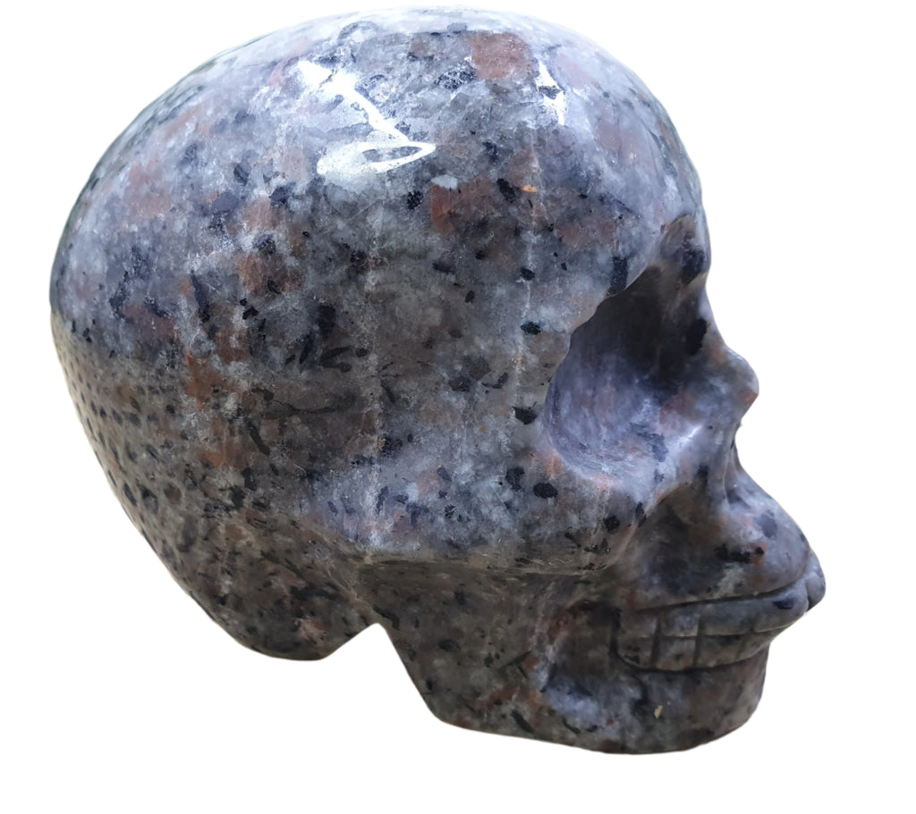 Yooperlite Skull