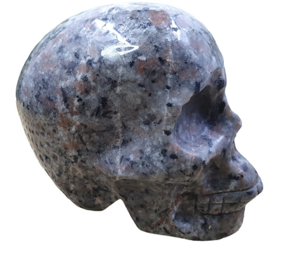 Yooperlite Skull