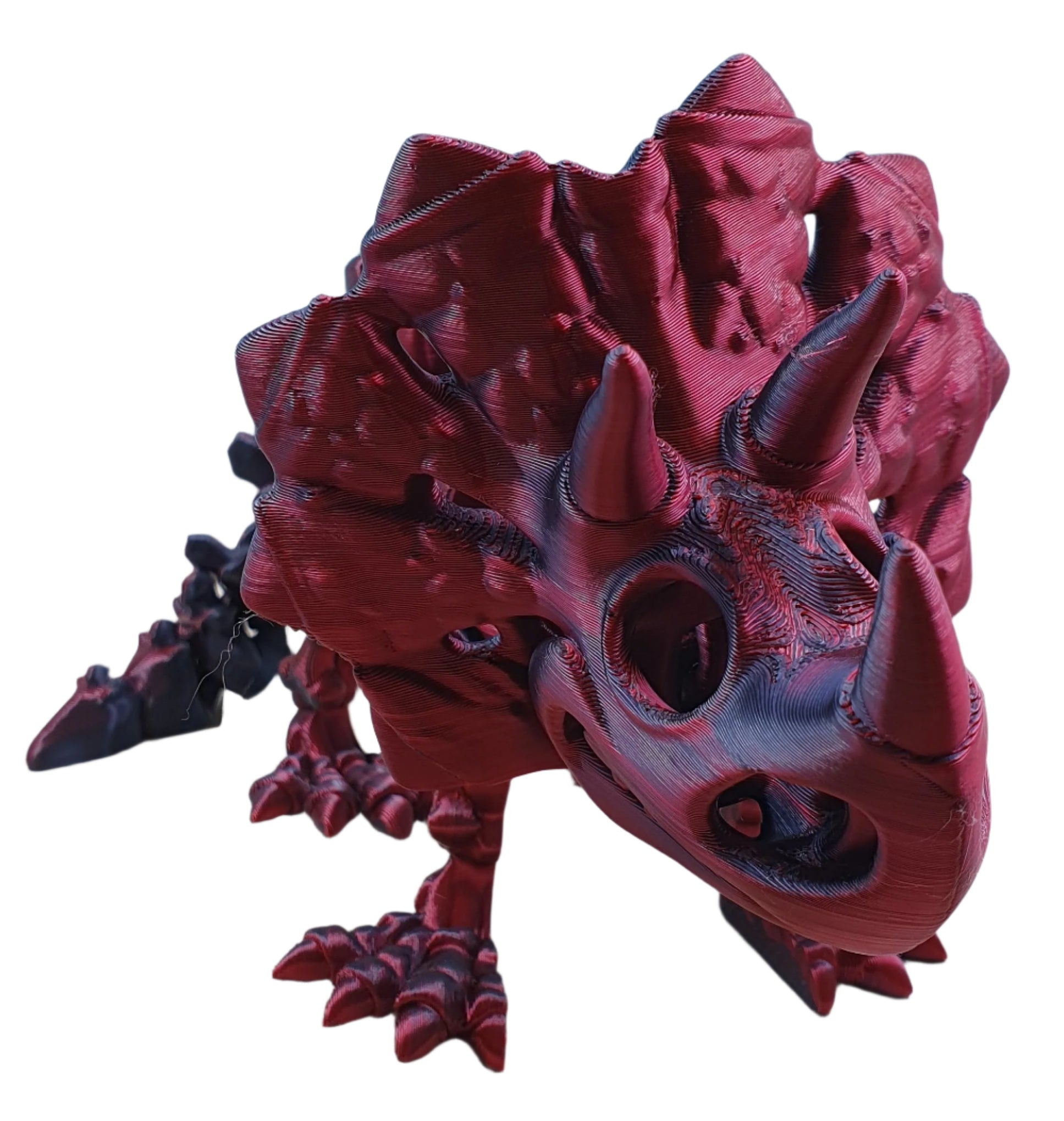 Triceratops Skeleton