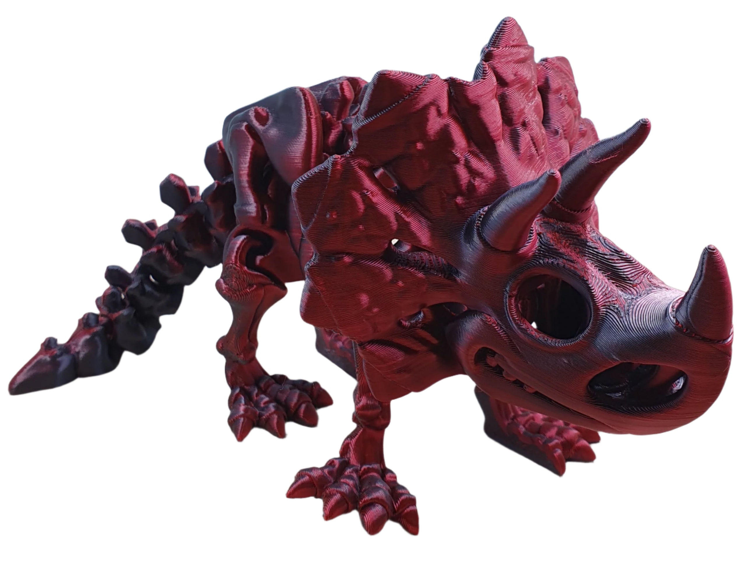 Triceratops Skeleton