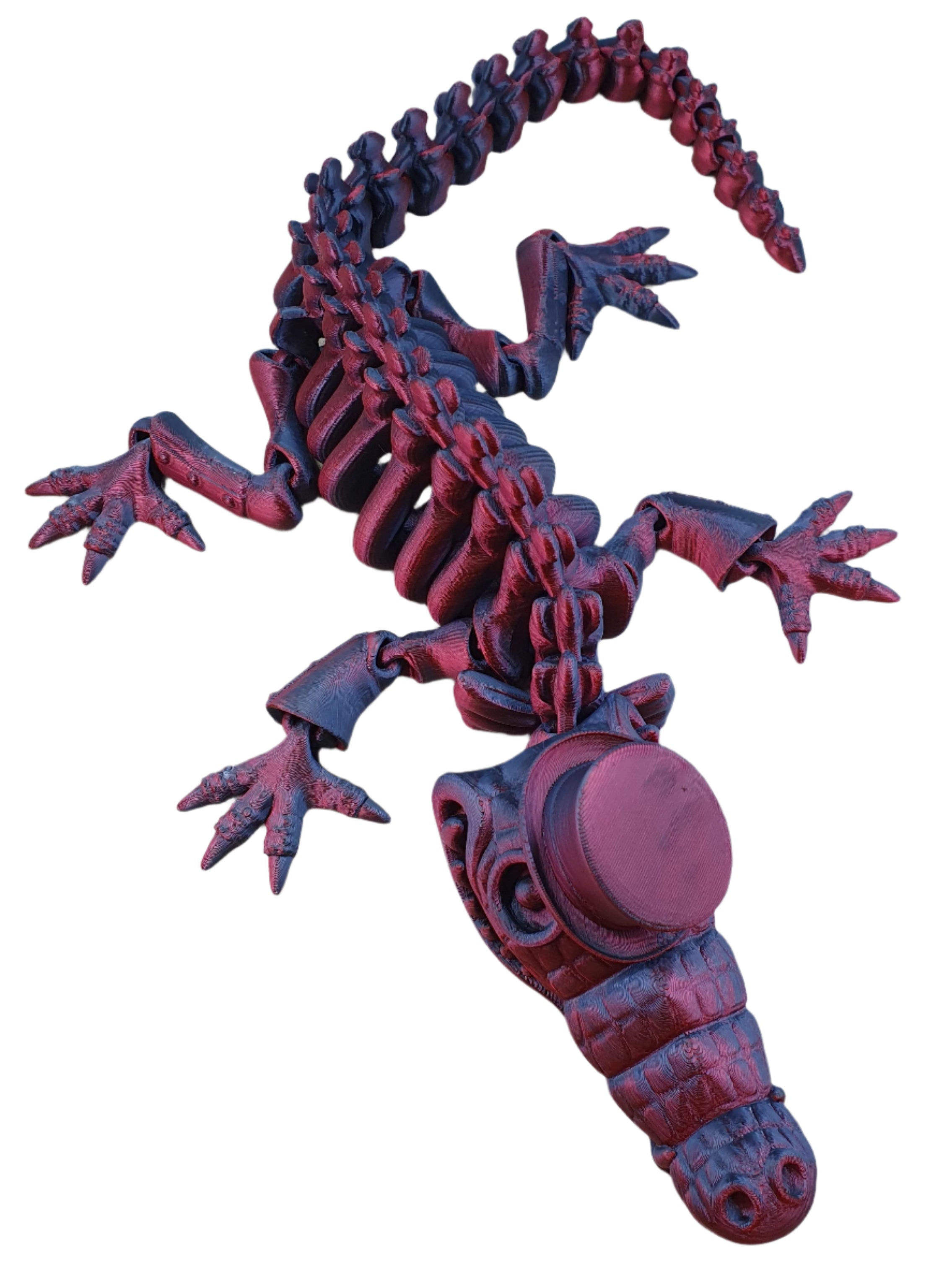 Skeleton Gentle - Crocodiles