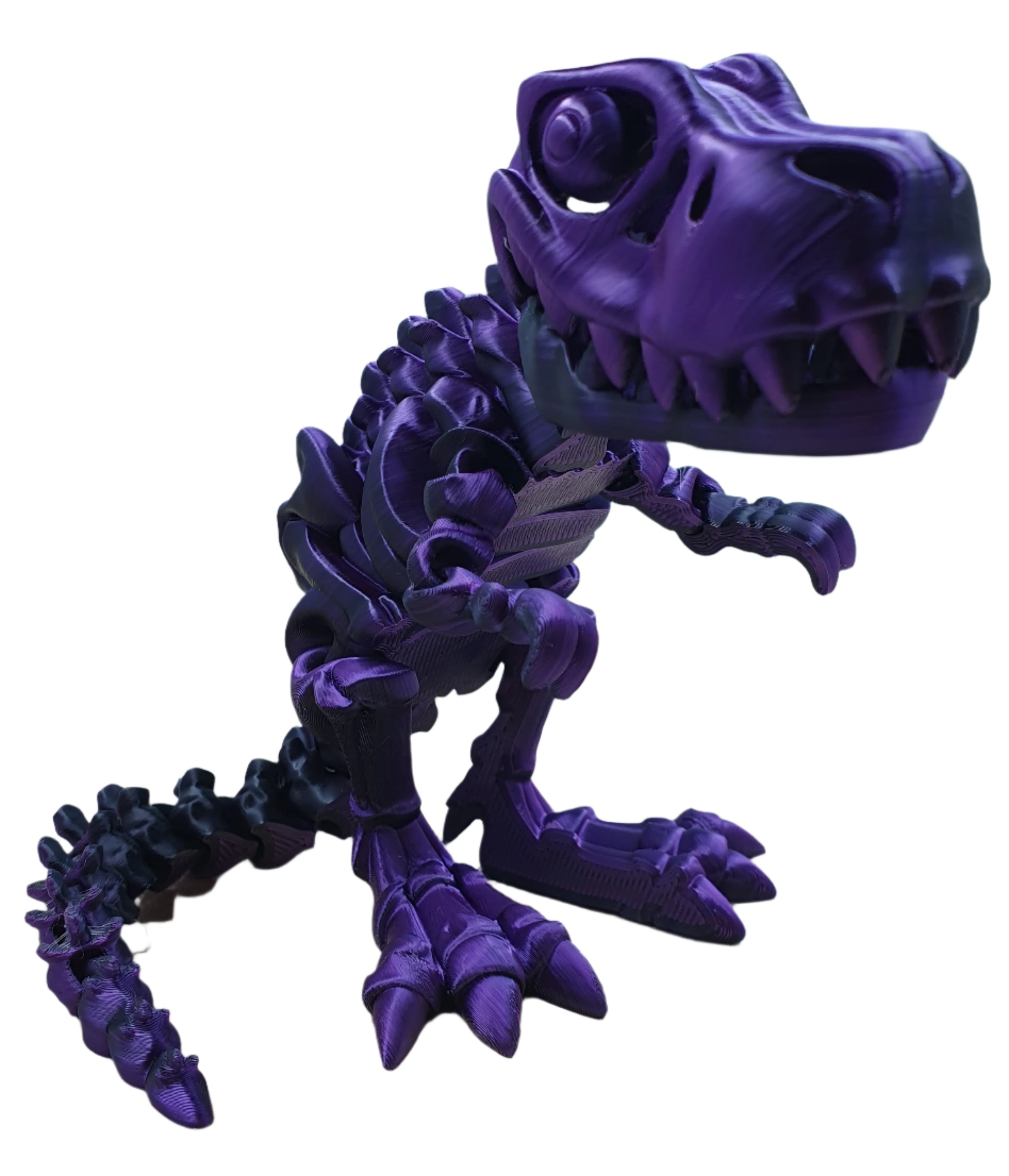 Skeleton T-Rex